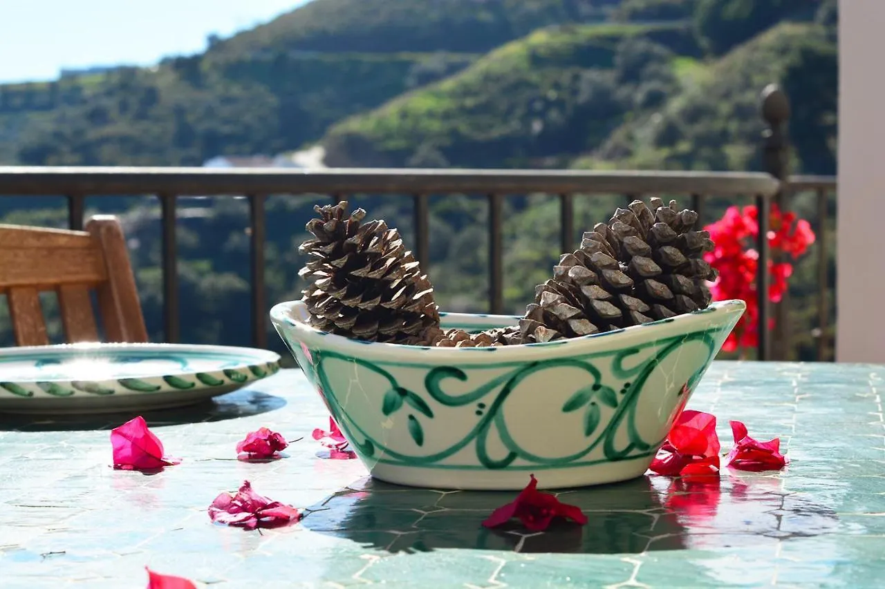 Casa Amarilla, Frigiliana Luxury Country Villa With Pool And Parking Hansonholiday Rentals Appartement